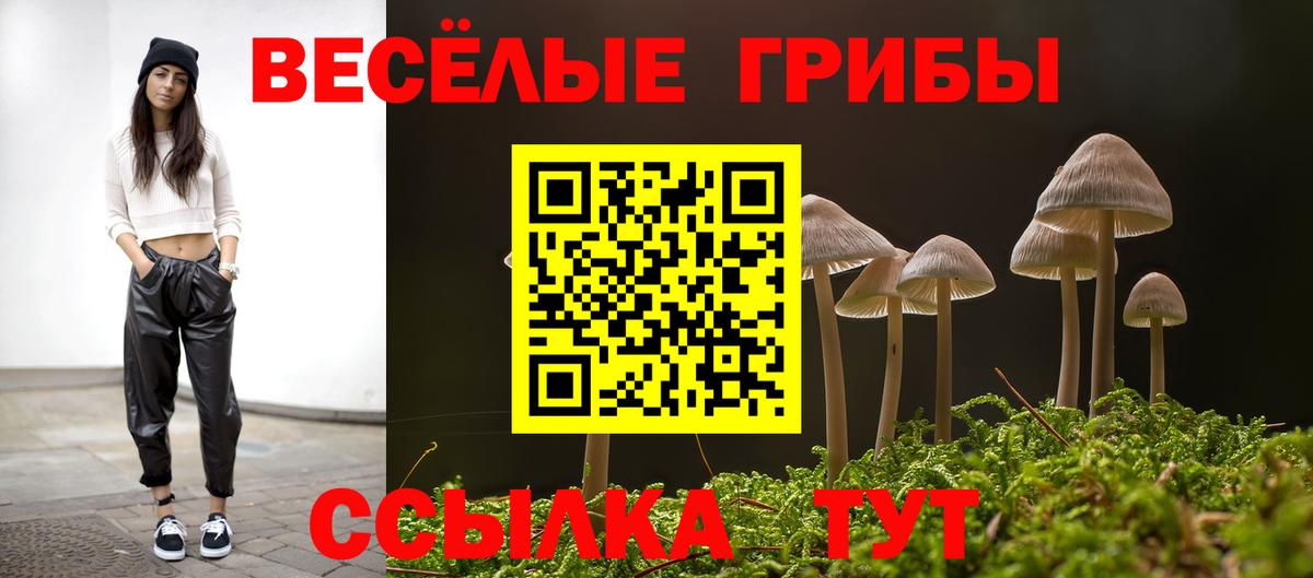 Галлюциногенные грибы MAGIC MUSHROOMS Кимовск