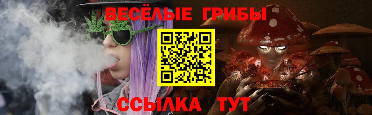 Кимовск  Псилоцибиновые грибы мицелий  Вход с VPN 